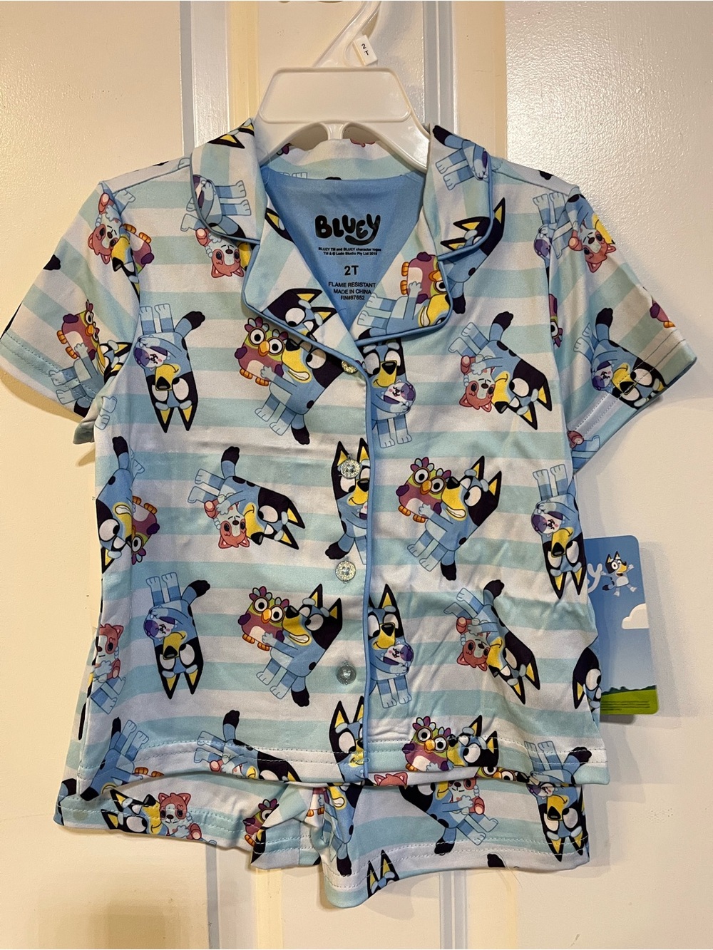 Toddler Bluey PJ set